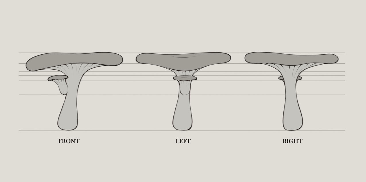 Turnaround for the normal mushroom platform design we settled on.